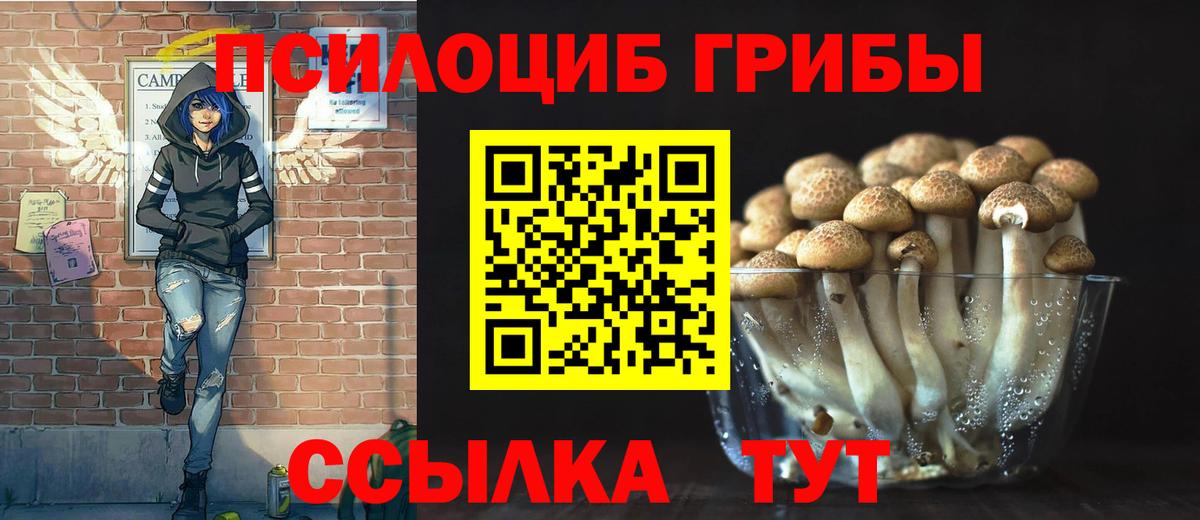 Дербент  Псилоцибиновые грибы мухоморы  Вход с VPN  Галлюциногенные грибы GOLDEN TEACHER 